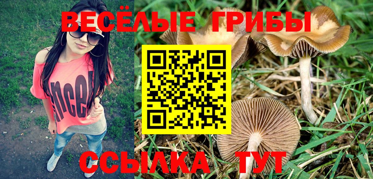 Киселёвск  как найти закладки  Вход с VPN  Галлюциногенные грибы мухоморы 