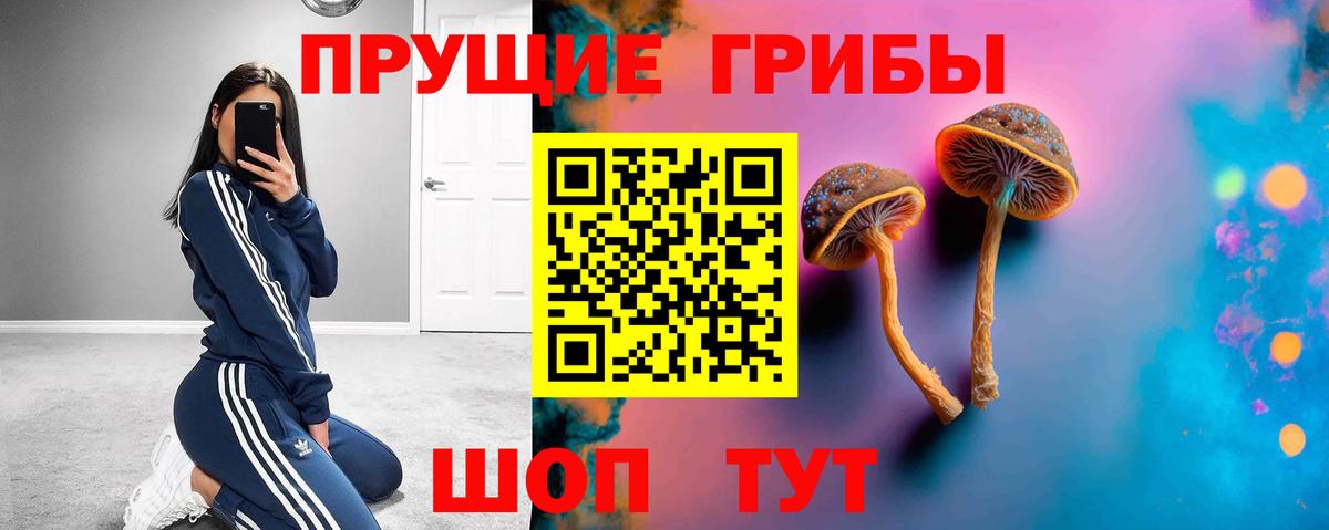 Галлюциногенные грибы мицелий Киселёвск