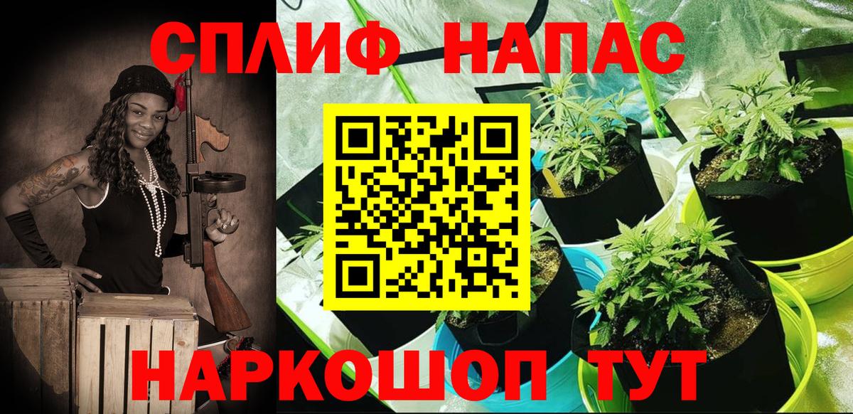 Бошки Шишки Amnesia Киселёвск